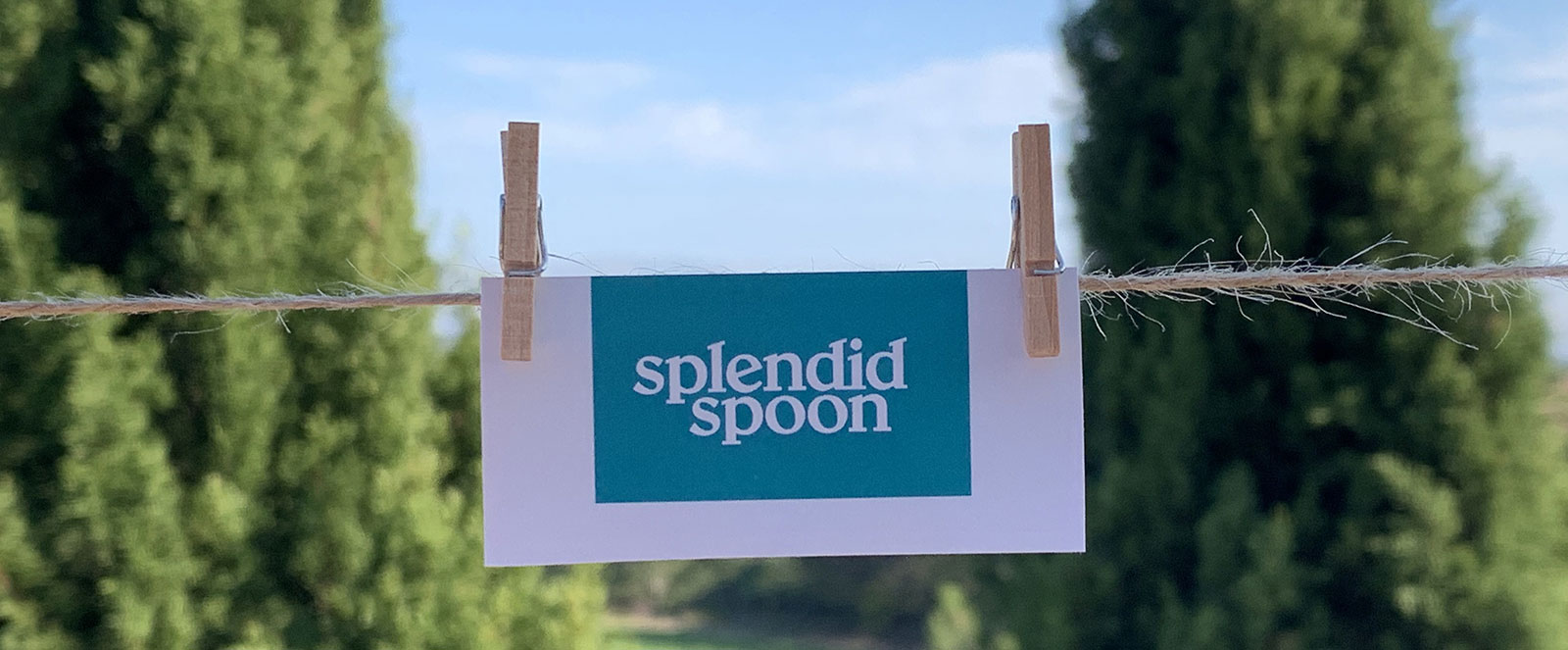 Splendid Spoon Promotion Offers
