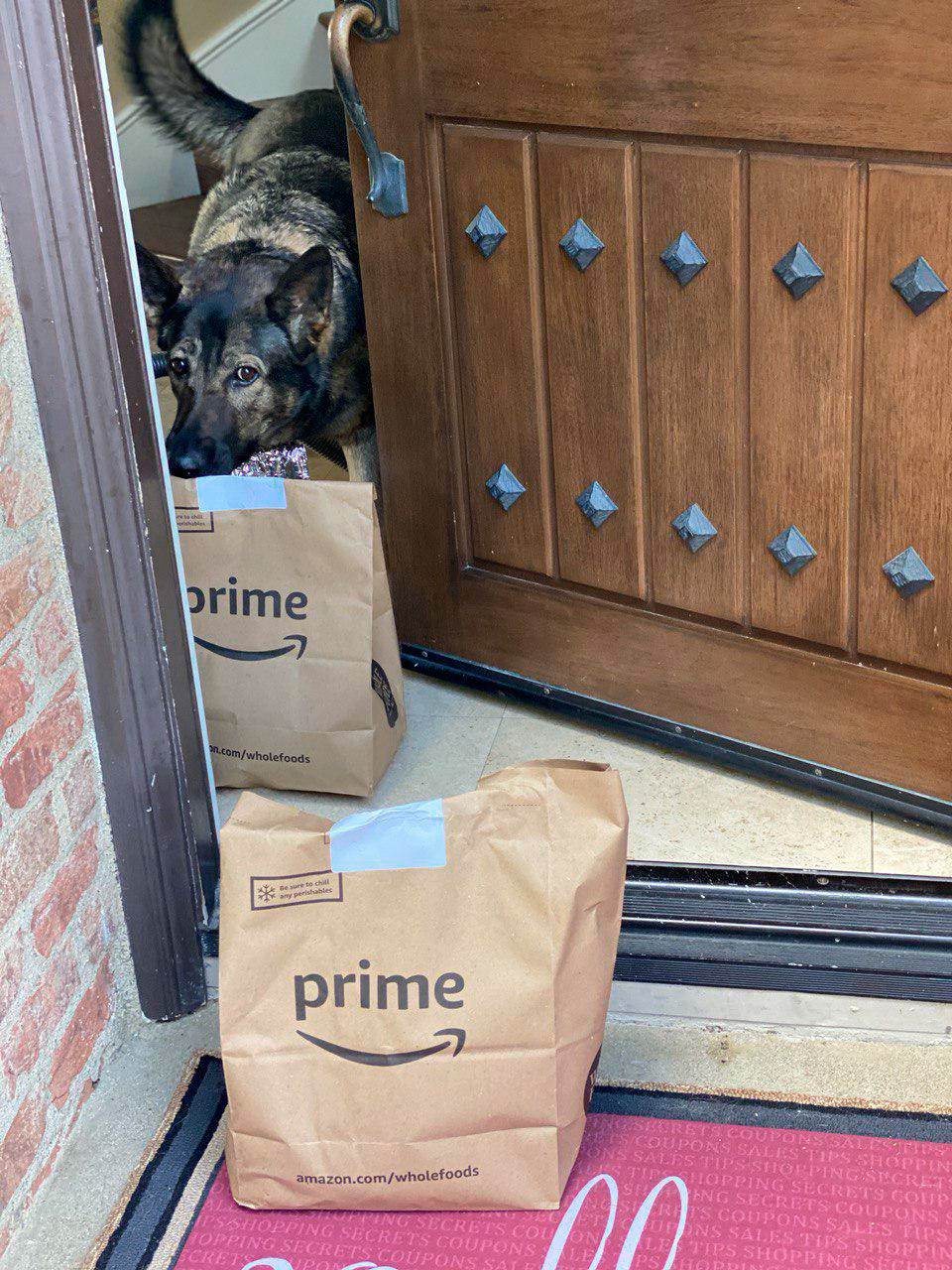 Amazon Prome Delivery Coupons