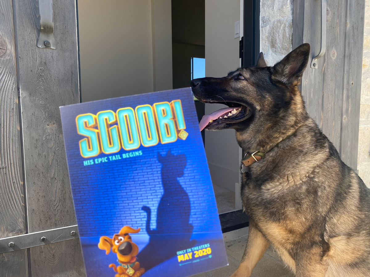 BarkBox Scooby Doo inspired Scoob