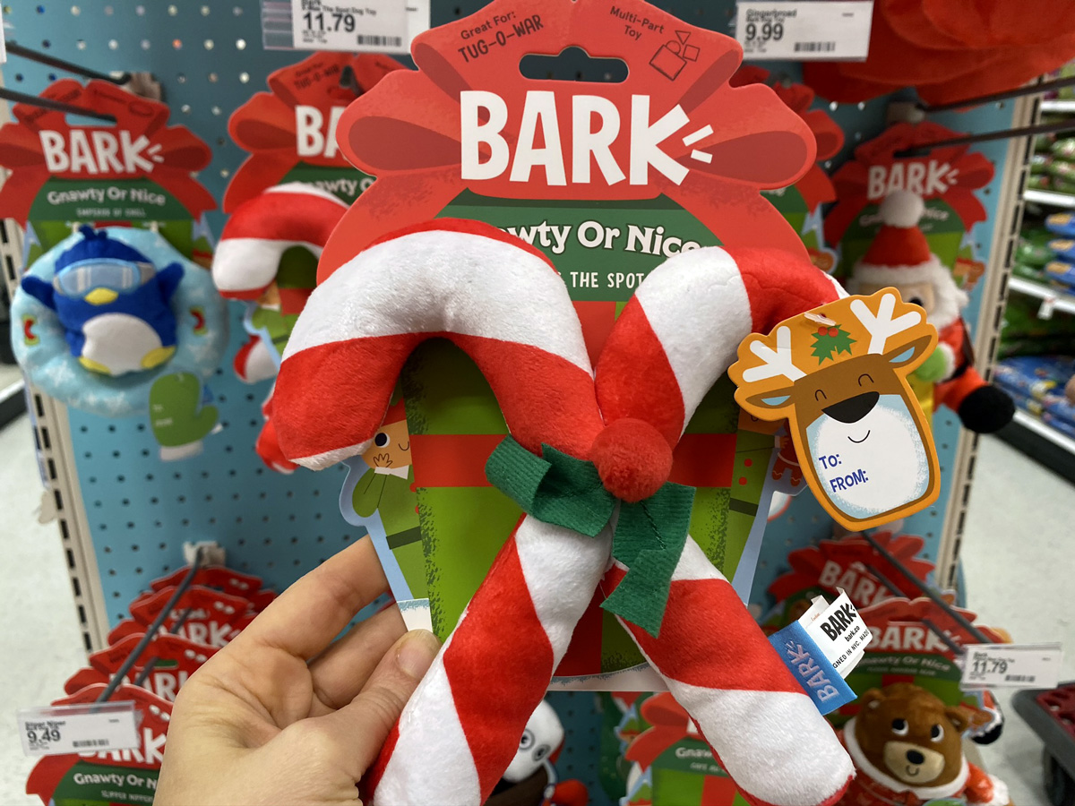 BarkBox Christmas Subscription
