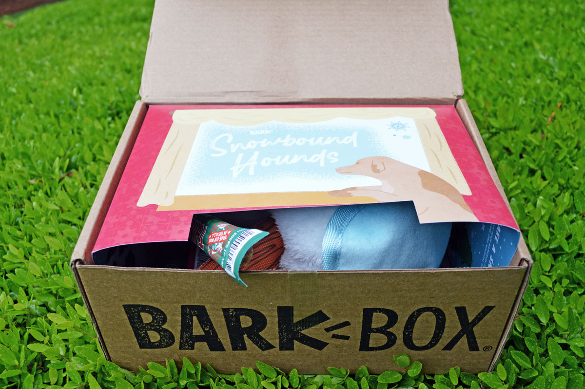 BarkBox Monthly Box