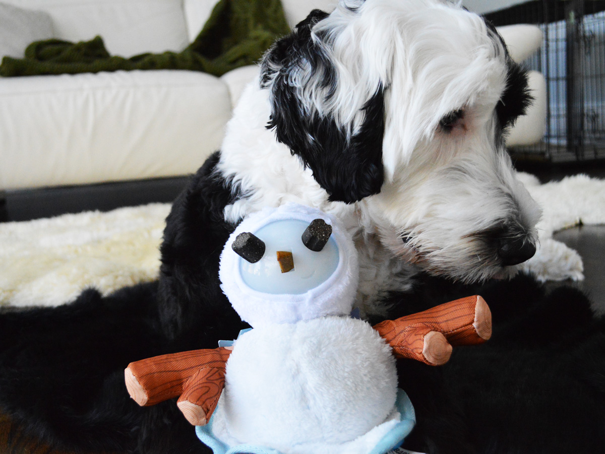 BarkBox snowman and its treats