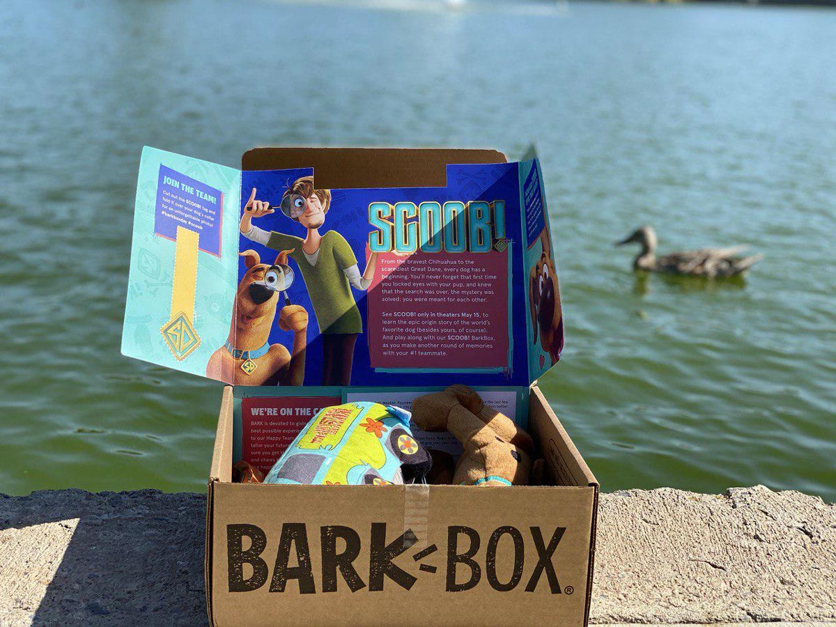 BarkBox Summer Promotions