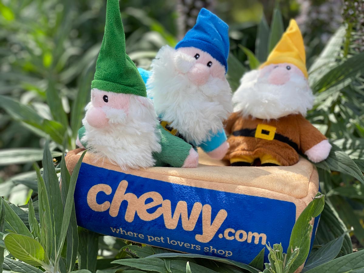 Chewy Coupon 20OFF