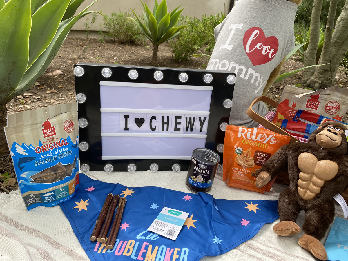 Chewy Dog Food Promotions