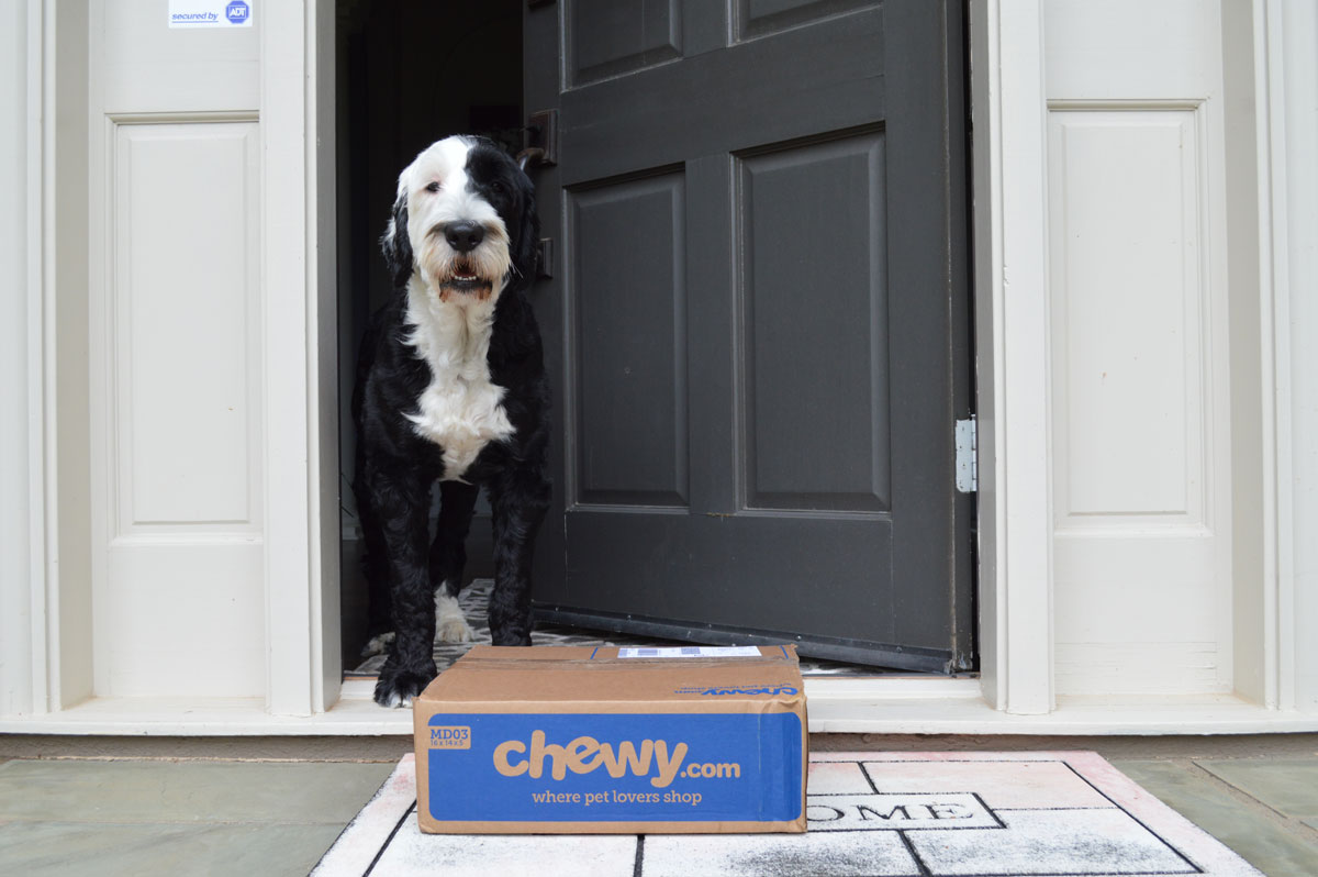 Chewy Frisco Delivery