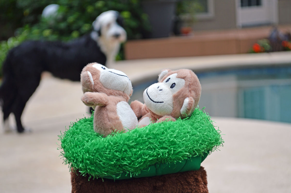 Chewy Frisco Plush Tree with Monkeys