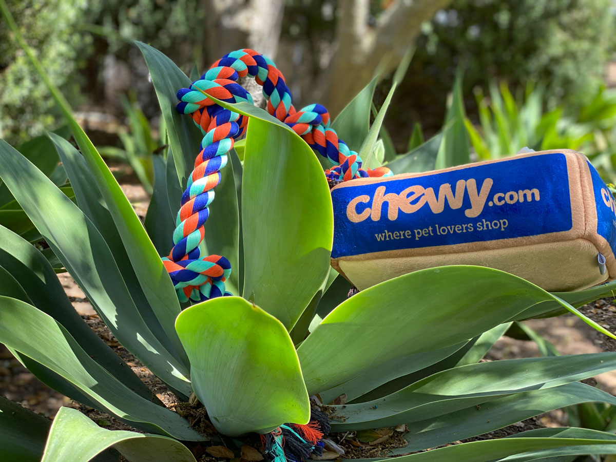 Chewy Frisco Rope with 5 Knots Dog Toy