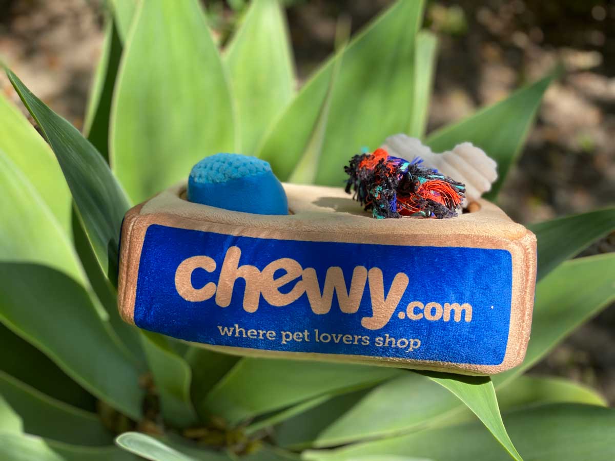 Chewy Puzzle toys