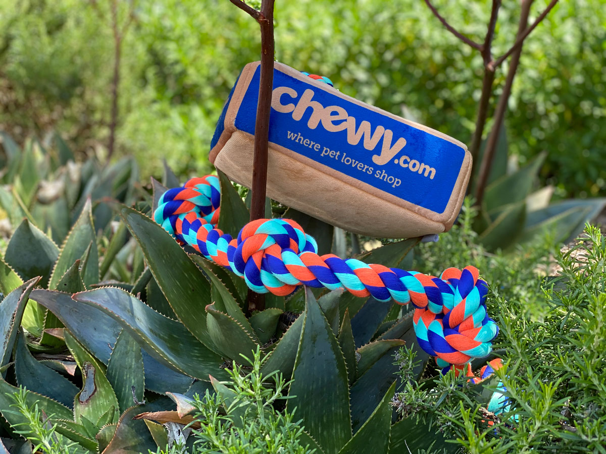 Chewy Rope with 5 Knots Dog Toy