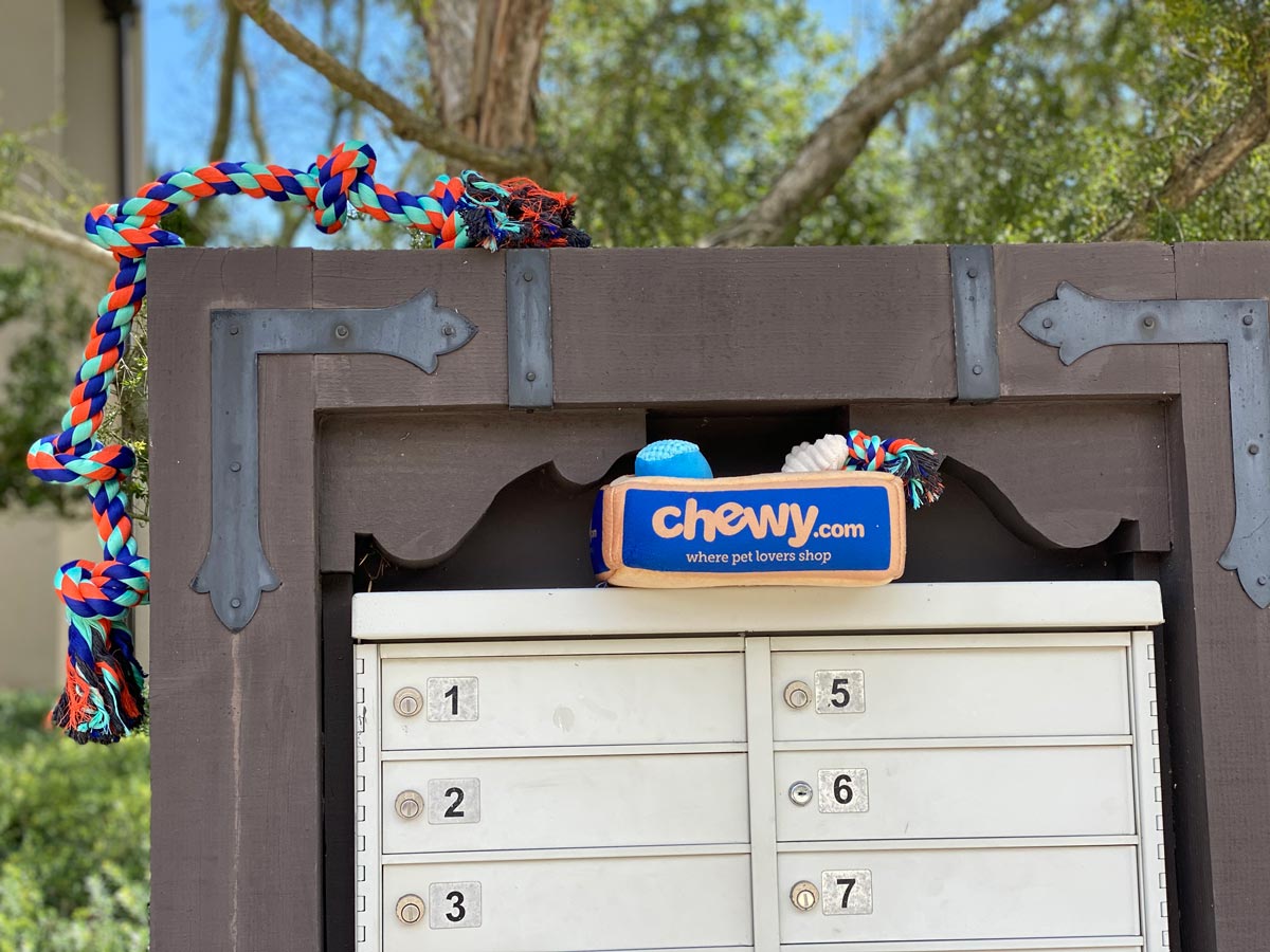 Chewy Spring 2020 Coupon 20OFF