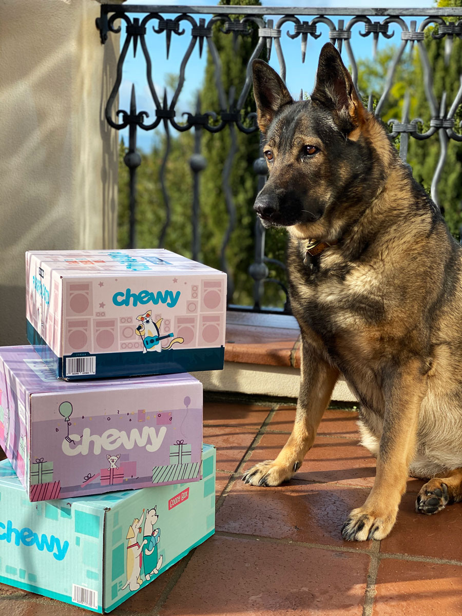 Chewy Spring Promo 20OFF