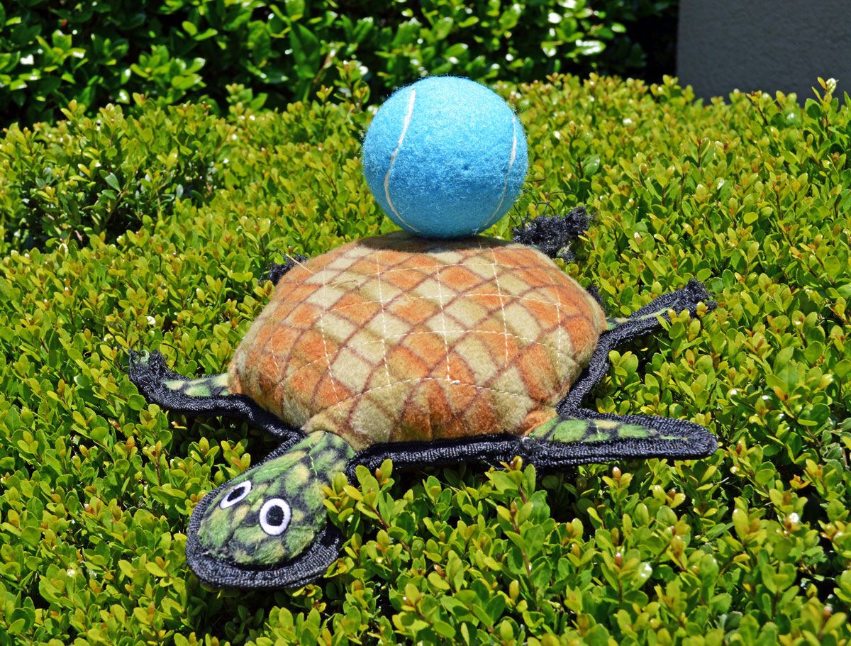 Chewy Tuffy's Turtle Plush Dog Toy