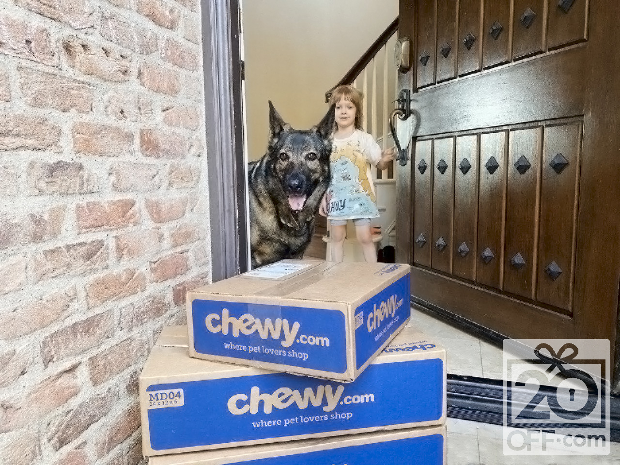 Chewy Valentine's Day Gifts for Dog Parents