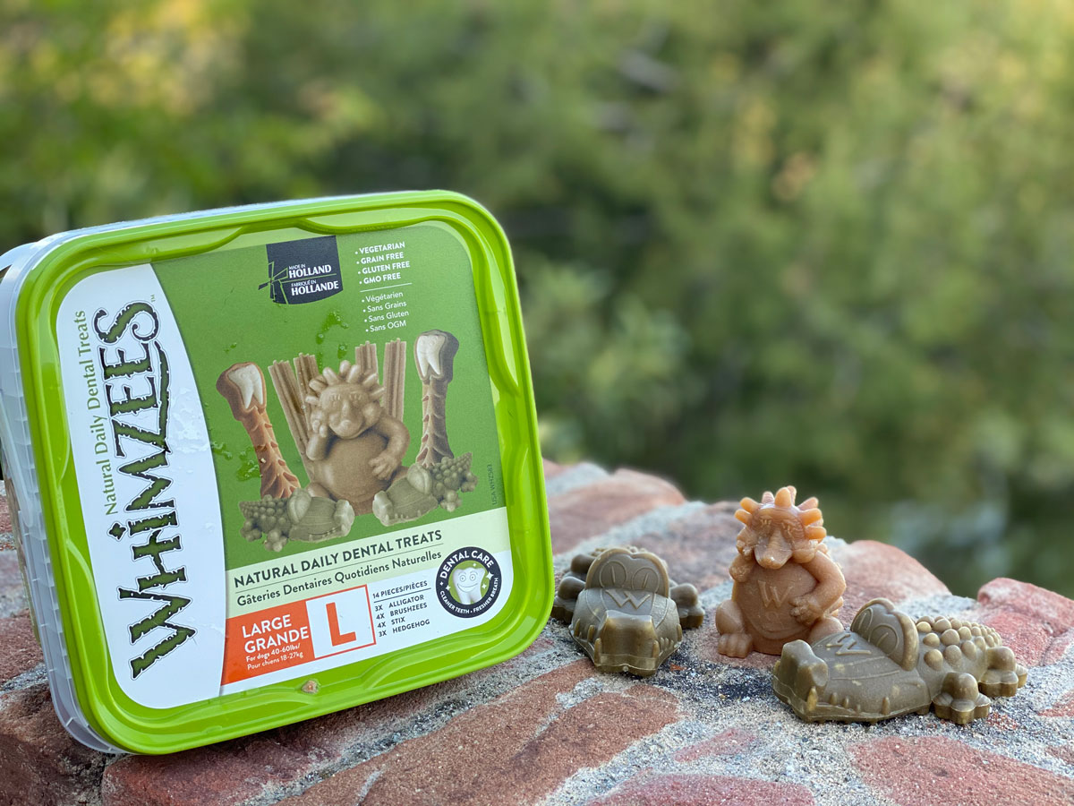 Chewy Whimzees Dental Dog Treats