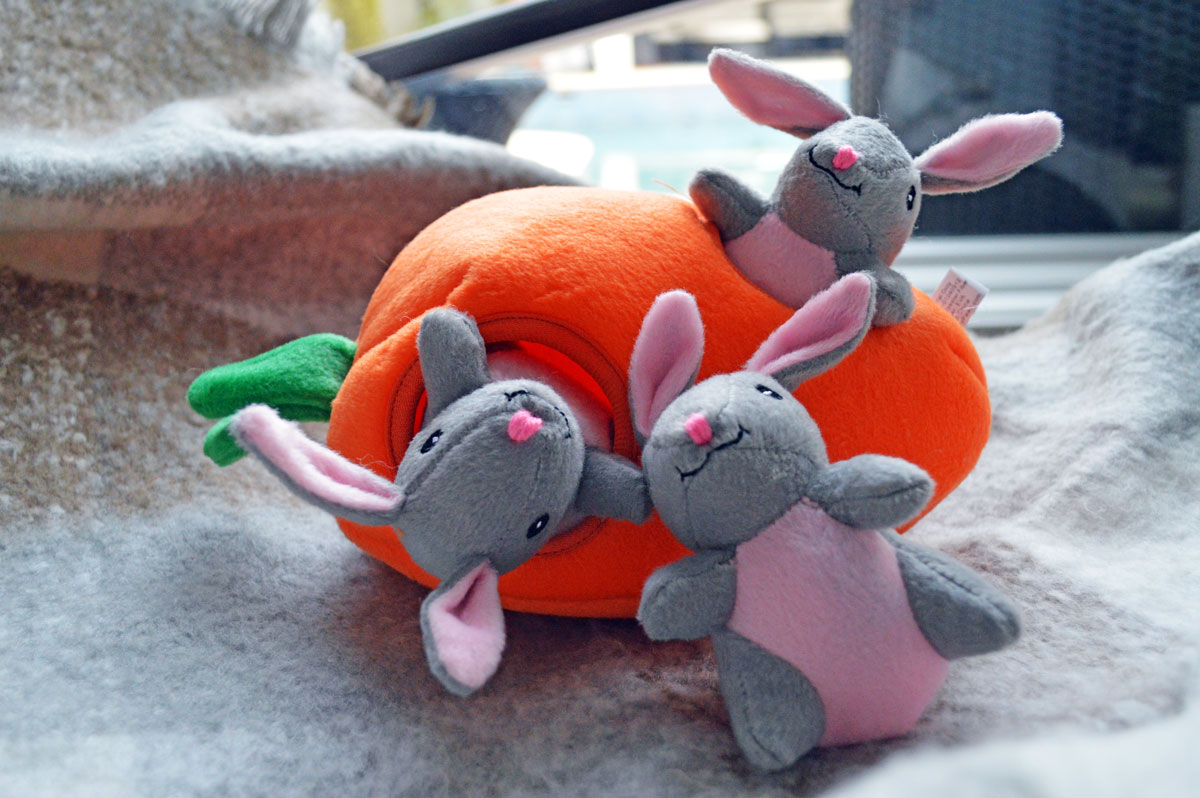 Chewy ZippyPaws burrows carrot with 3 rabbits