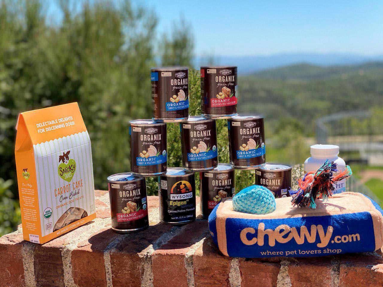 Chewy Dog Food Promo 20OFF