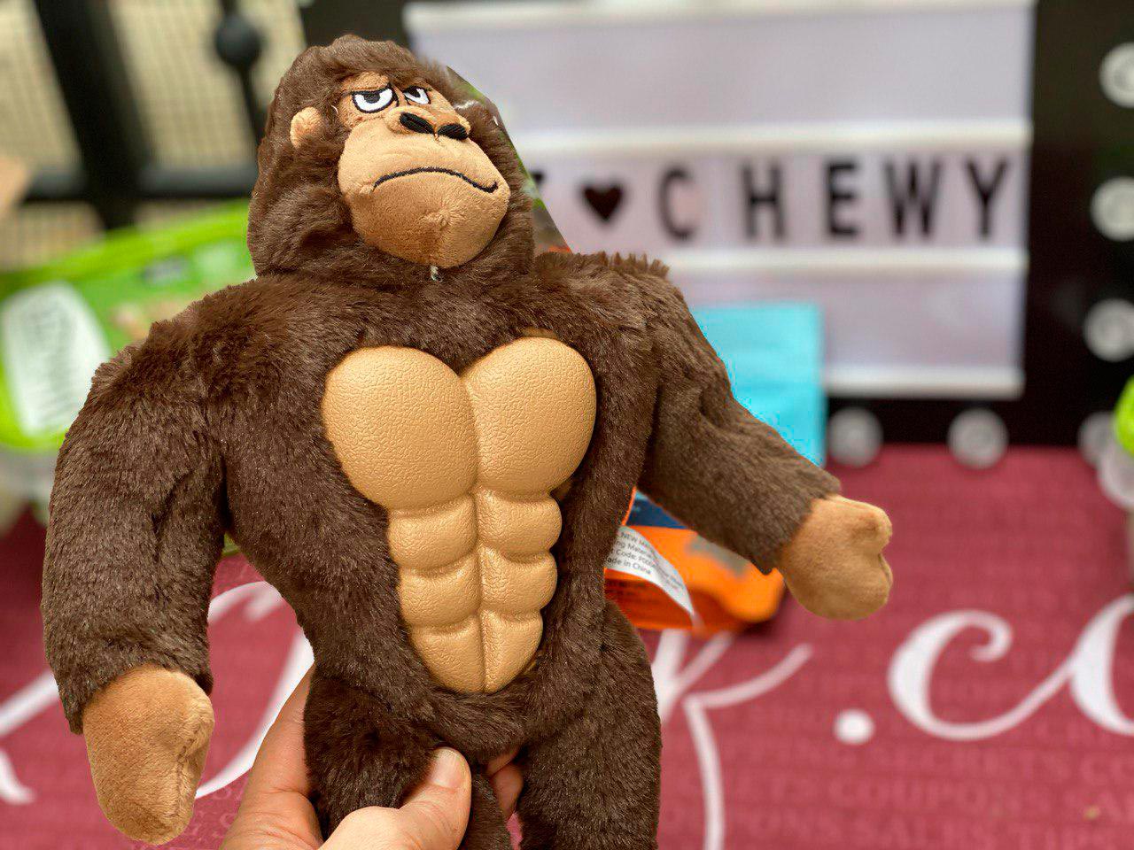 Chewy Dog Toys Offers