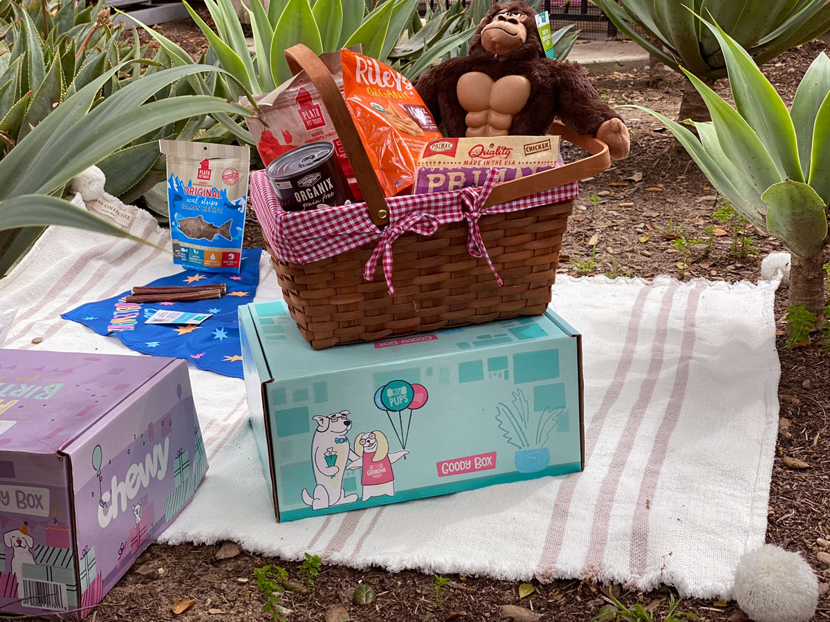 Chewy Goodie Boxes for Your Pets