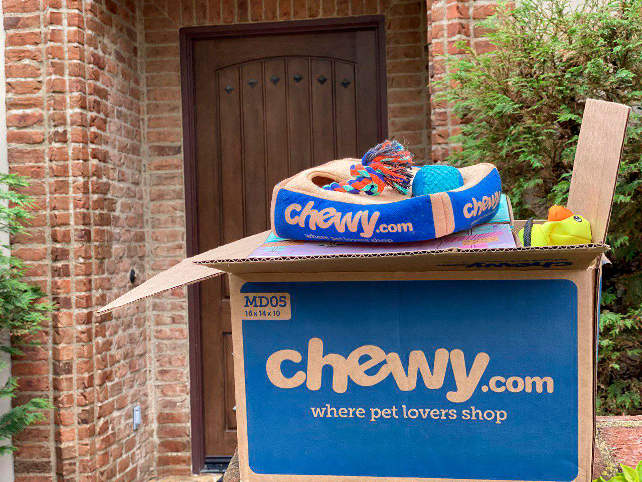 Chewy Supplies for Your Pets