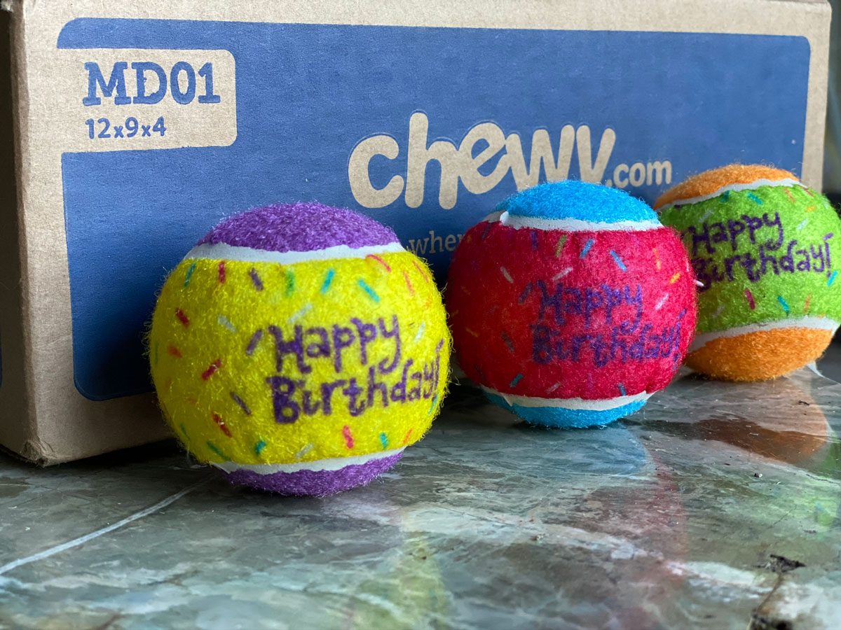 Chewy's Frisco birthday squeaky balls