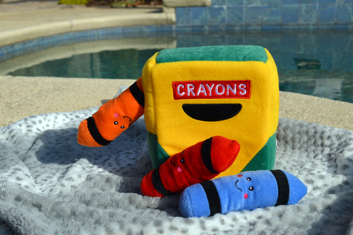 Crayon Burrow Box for Dogs