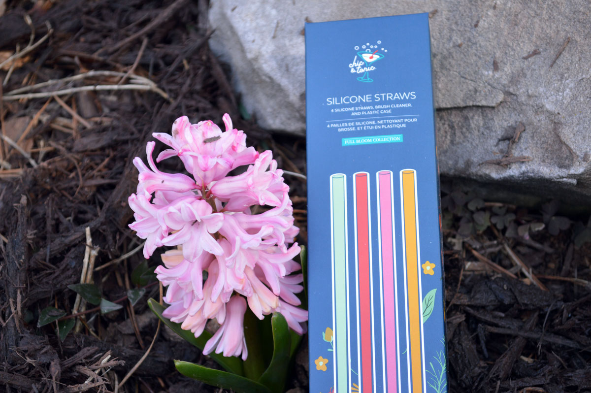 FabFitFun Spring Box Silicone Straws