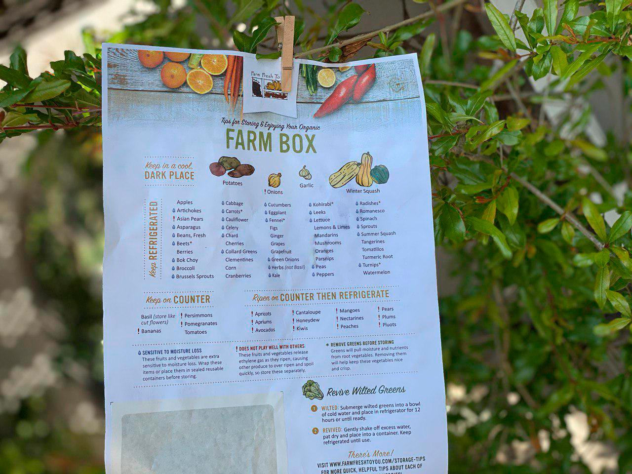 Farm Fresh to You Box Offers
