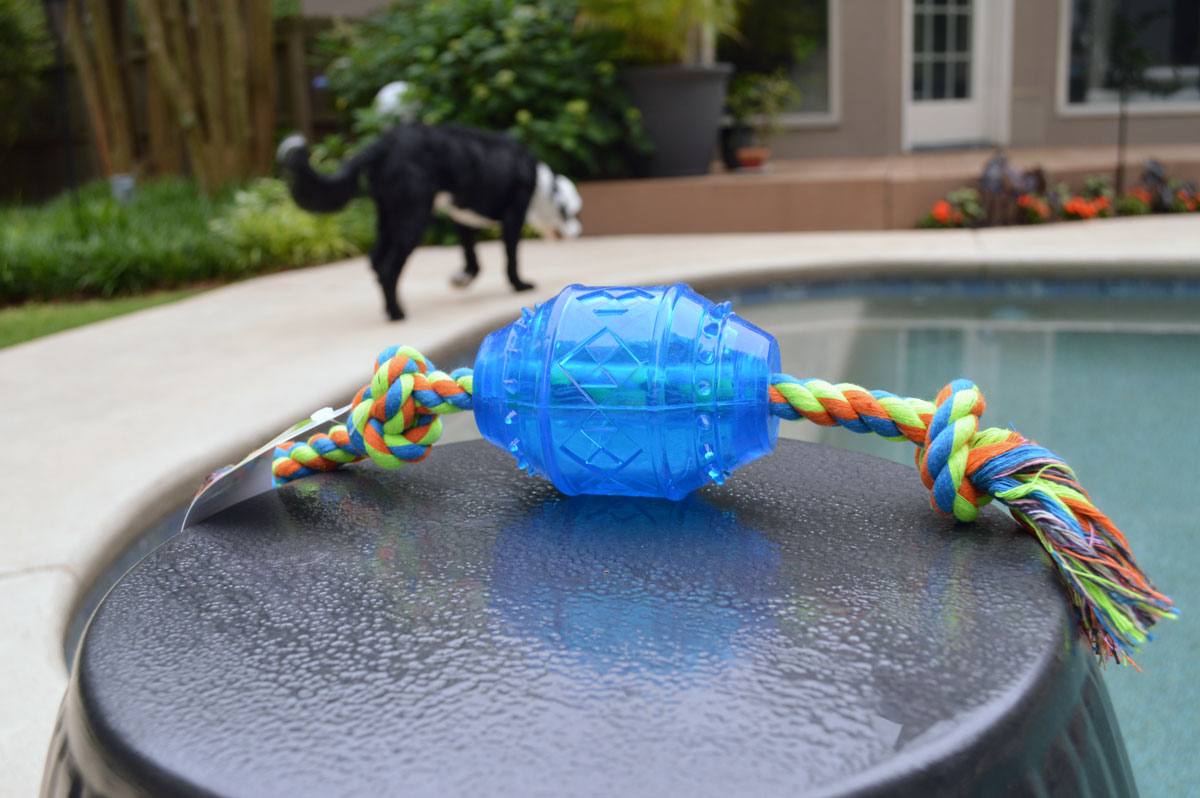 Frisco Rope with Squeaking Barrel Dog Toy