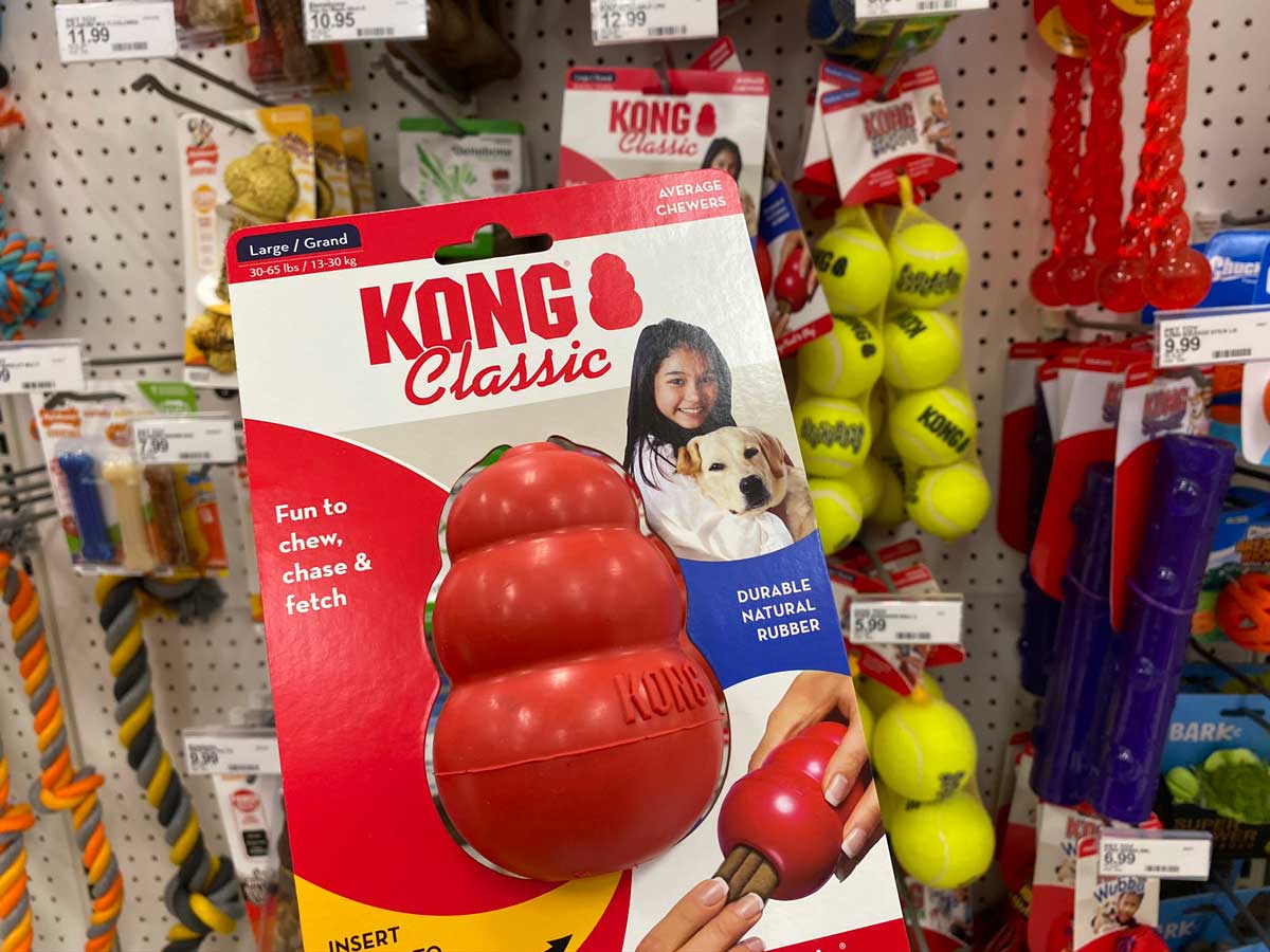 KONG toys from Chewy