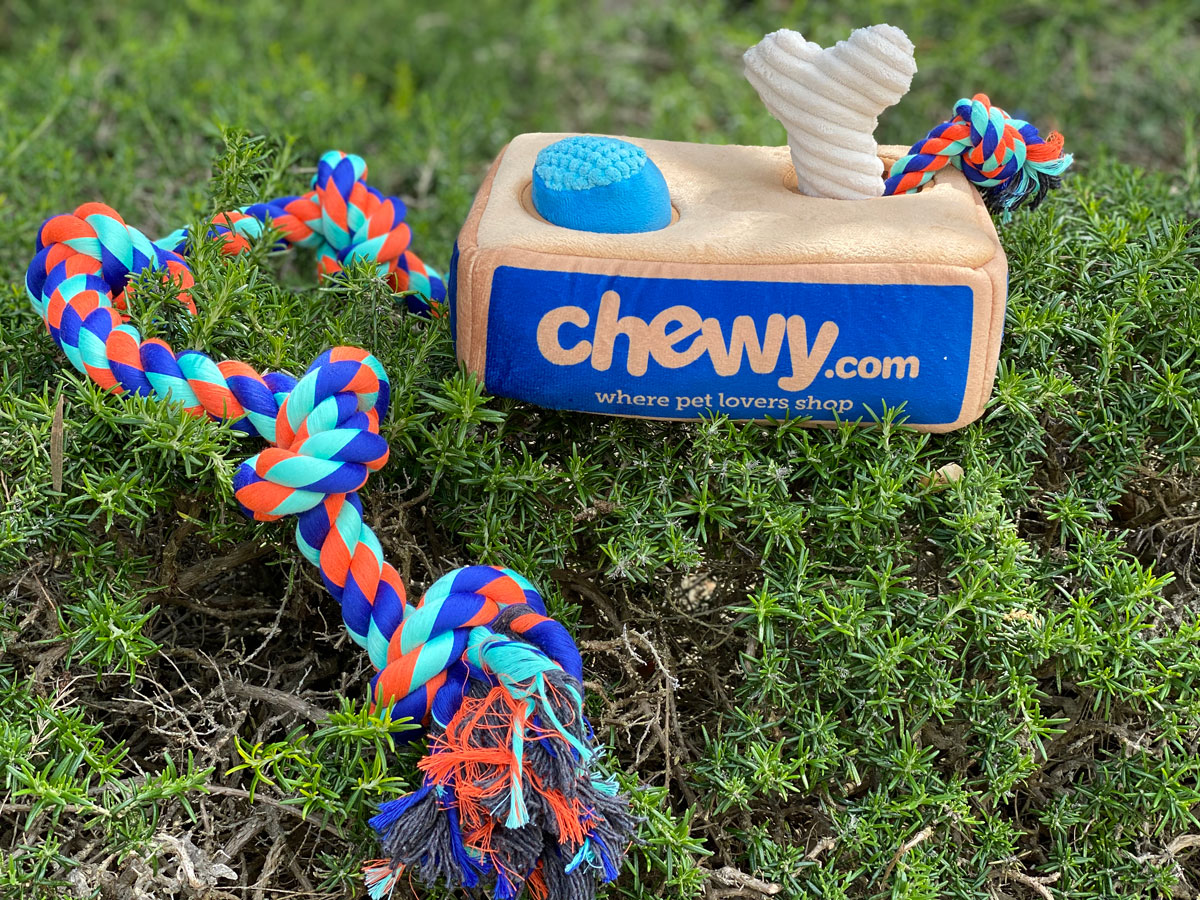 Keep Dogs Moving with Chewy