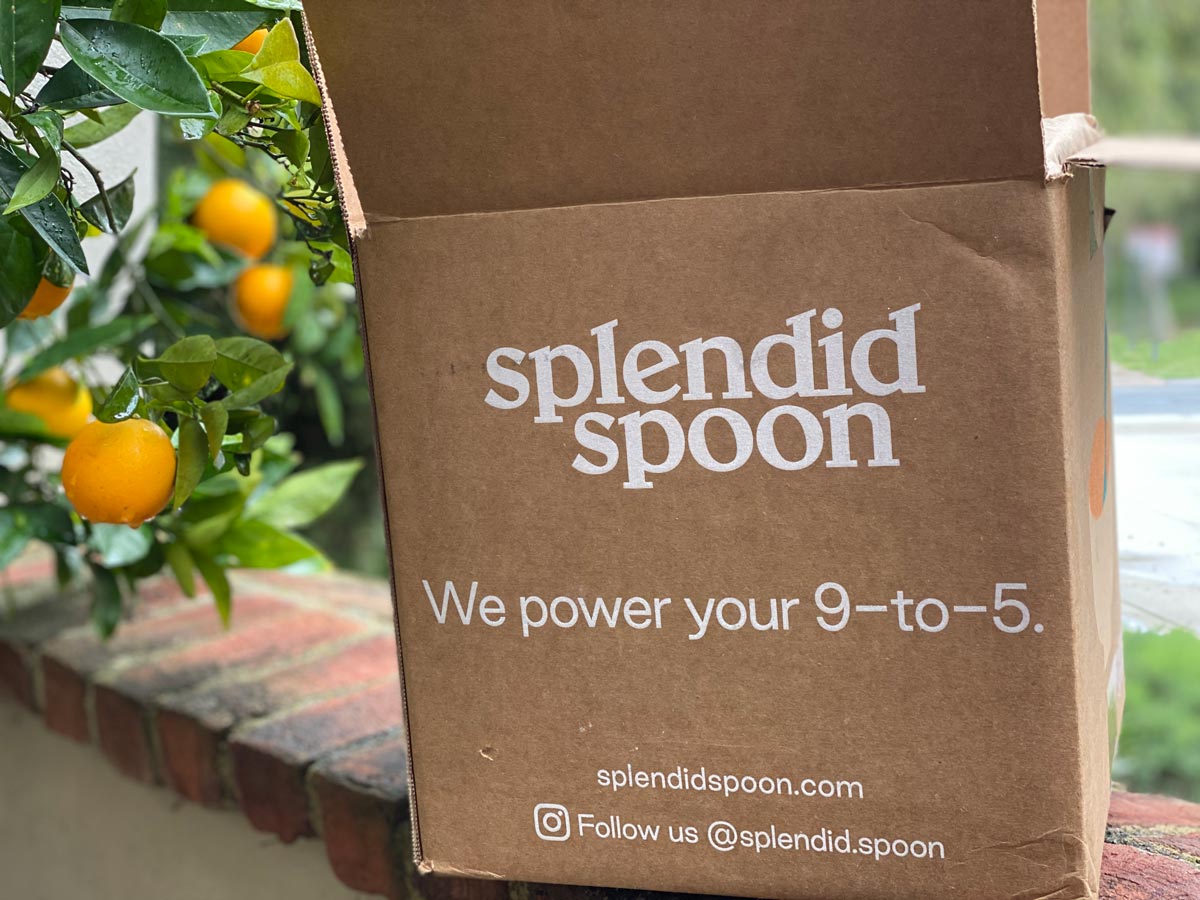 Splendid Spoon Delivery Promo 20off