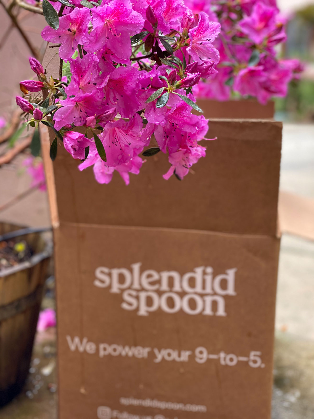 Splendid Spoon Delivery Deals