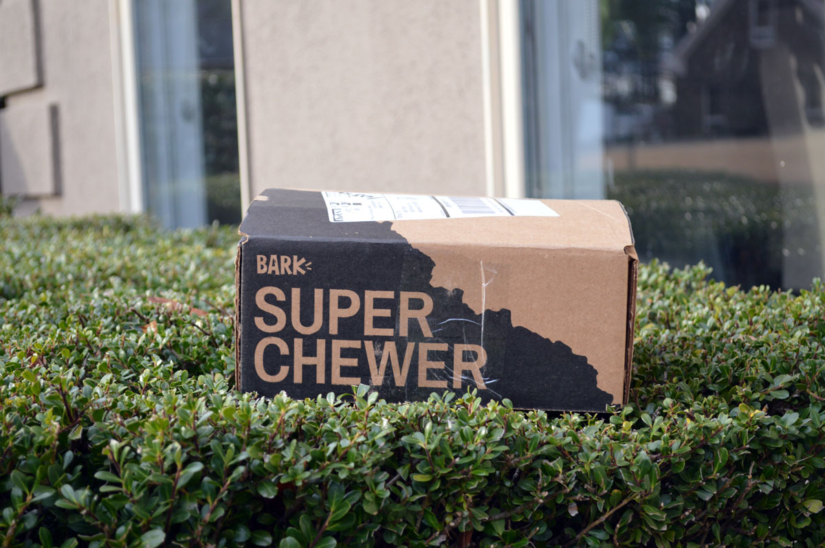 Super Chewer from BarkBox 