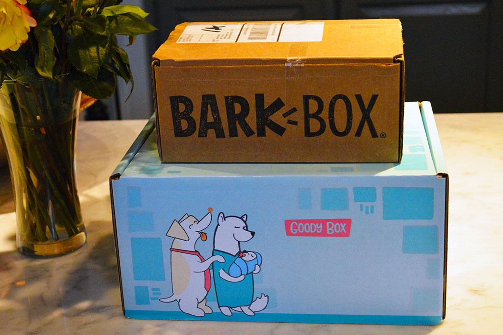 Barkbox And Chewy Goody Box