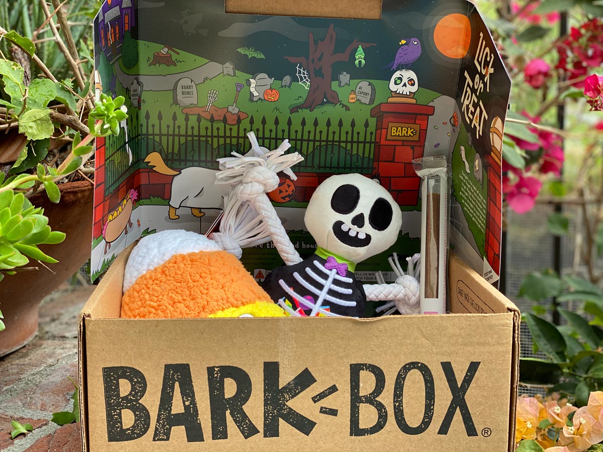 BarkBox Fall 2020
