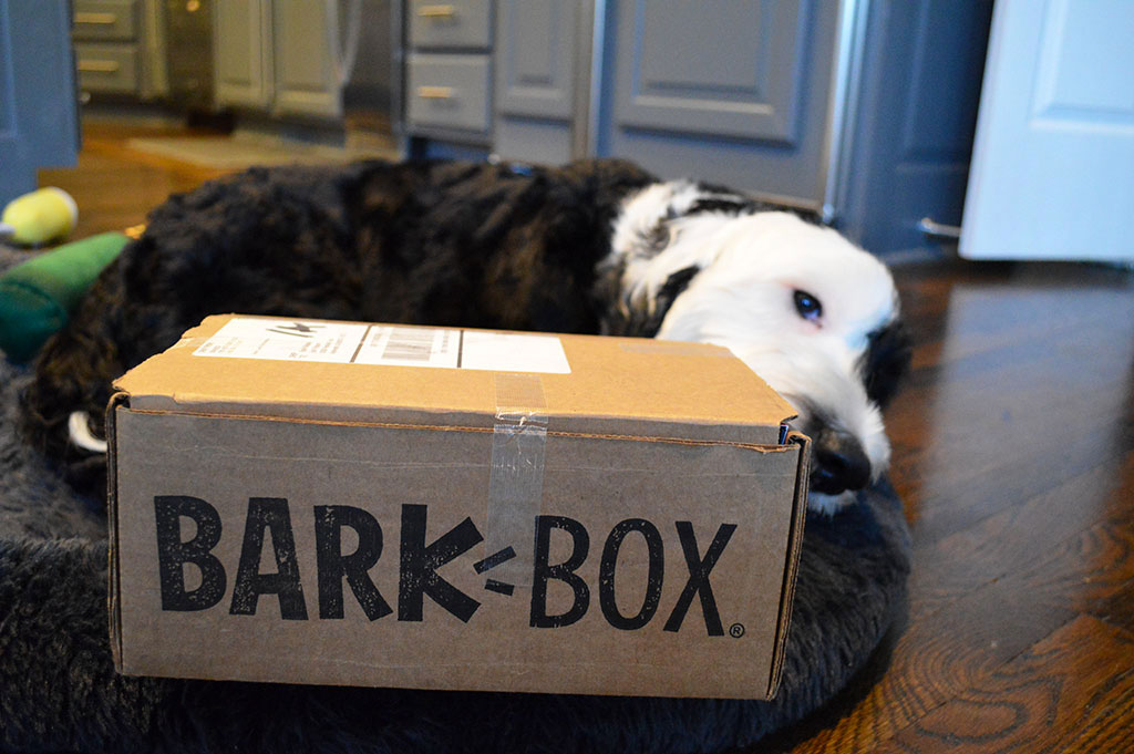 BarkBox Winter Box