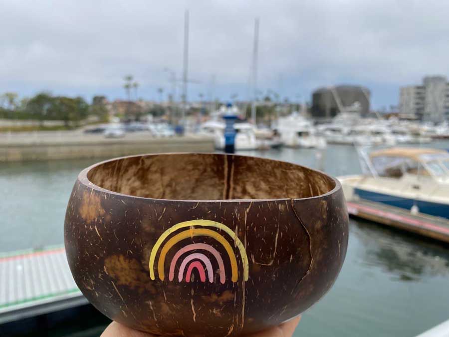 Beachly Coconut Bowl