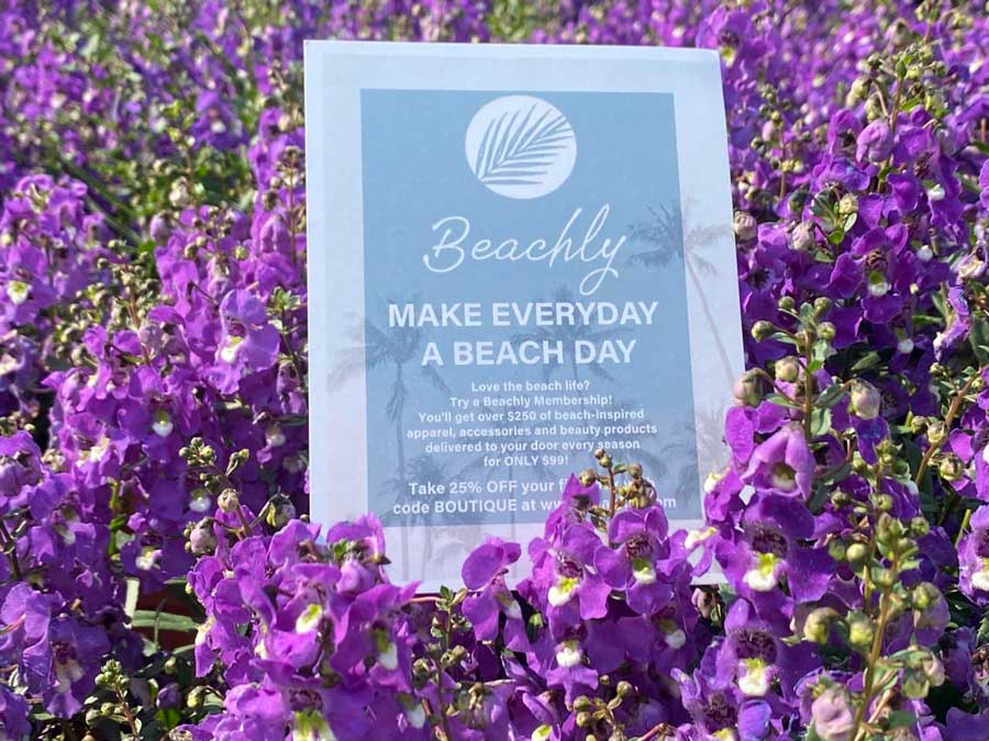Beachly Coupon Offer