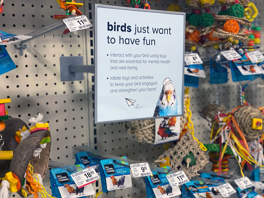 Birds Toys Deals