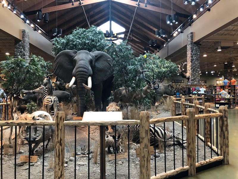 Bunch of Animals at Cabela's Store