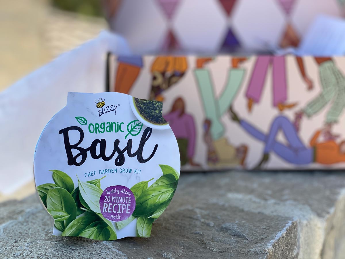 CauseBox Basil Growing Kit