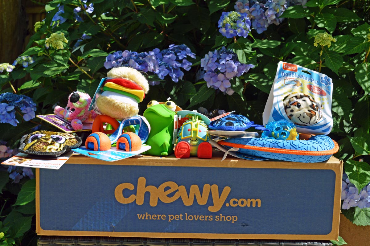 Chewp Chewy Toys