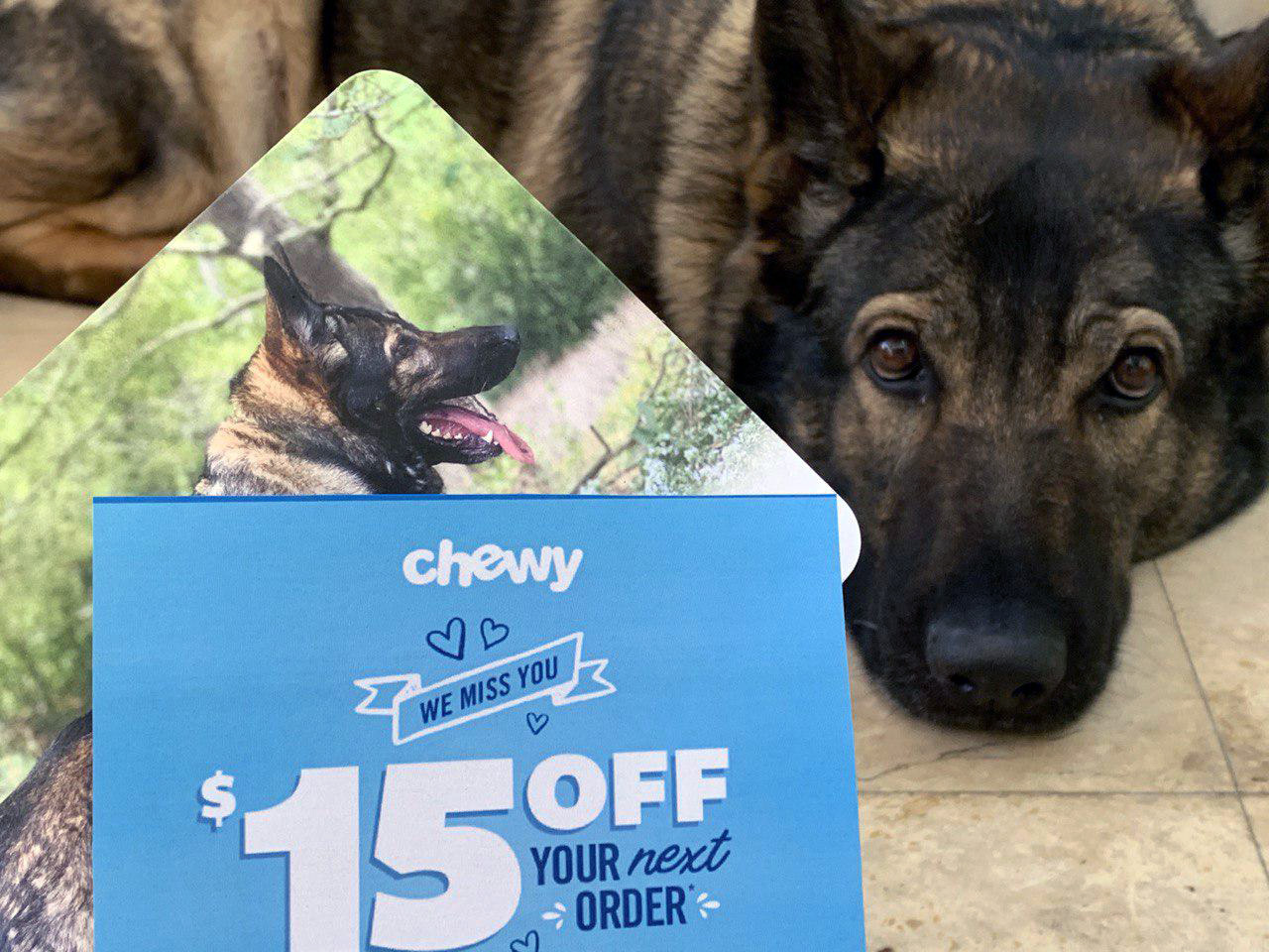 Chewy 15% OFF Next Order