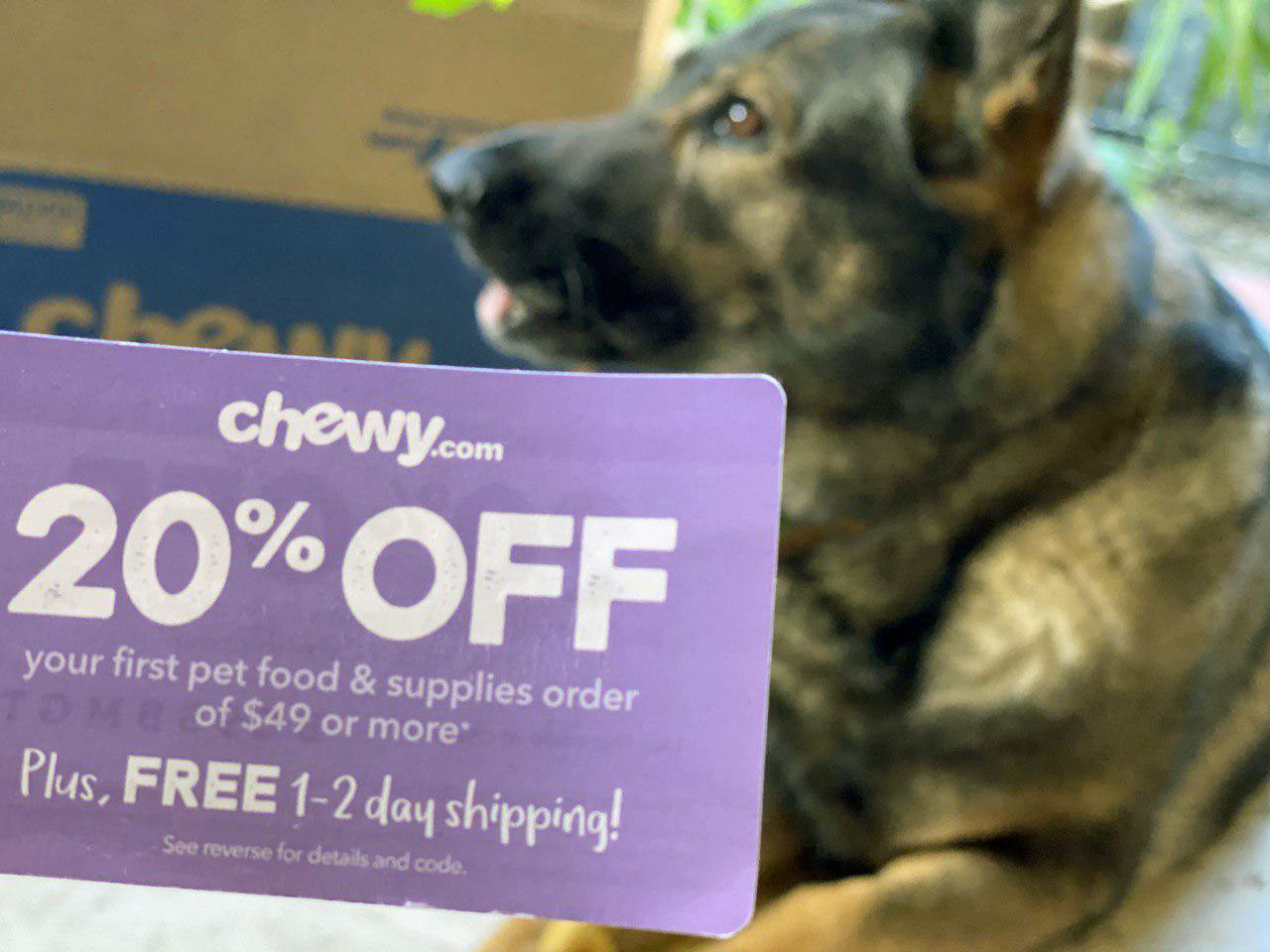 Chewy 20% OFF Pet Food Coupon