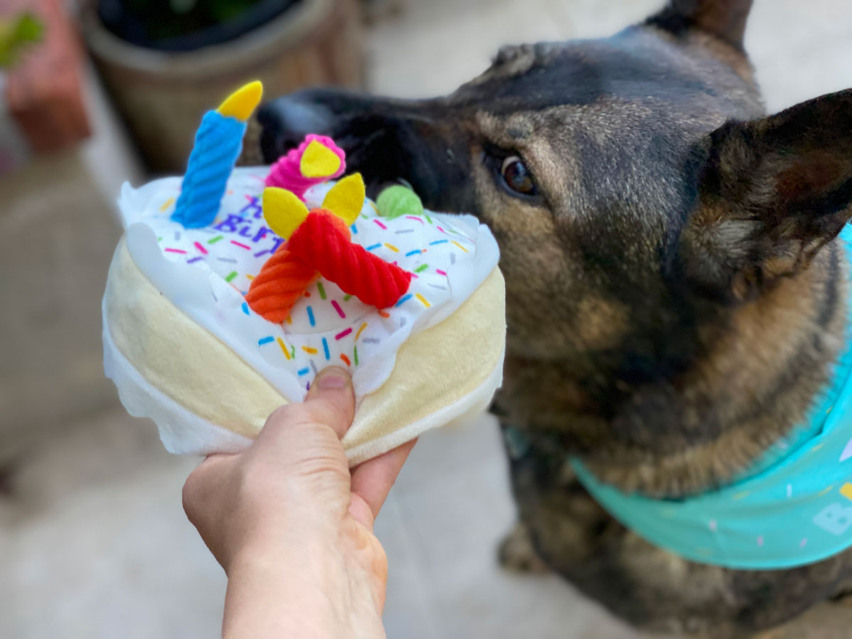 Chewy birthday plush cake