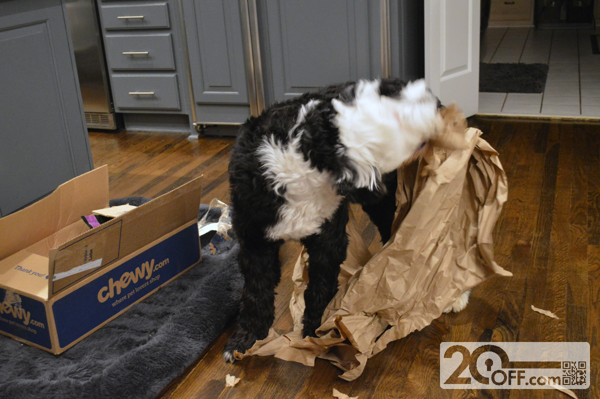 Chewy Box Dog Packing Paper