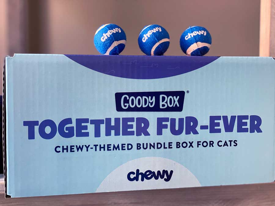 Chewy Box for Cats
