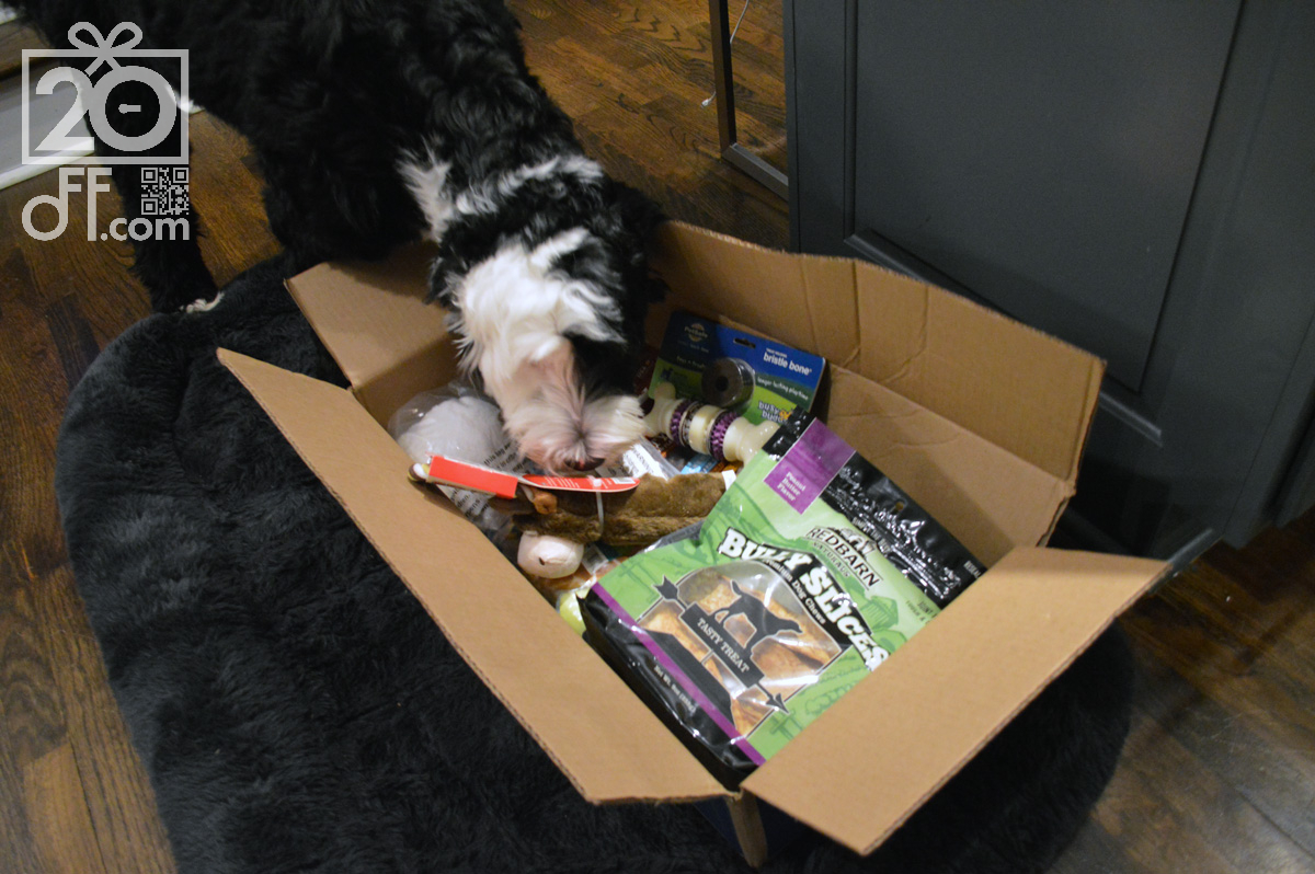Chewy Box for Dogs Experience