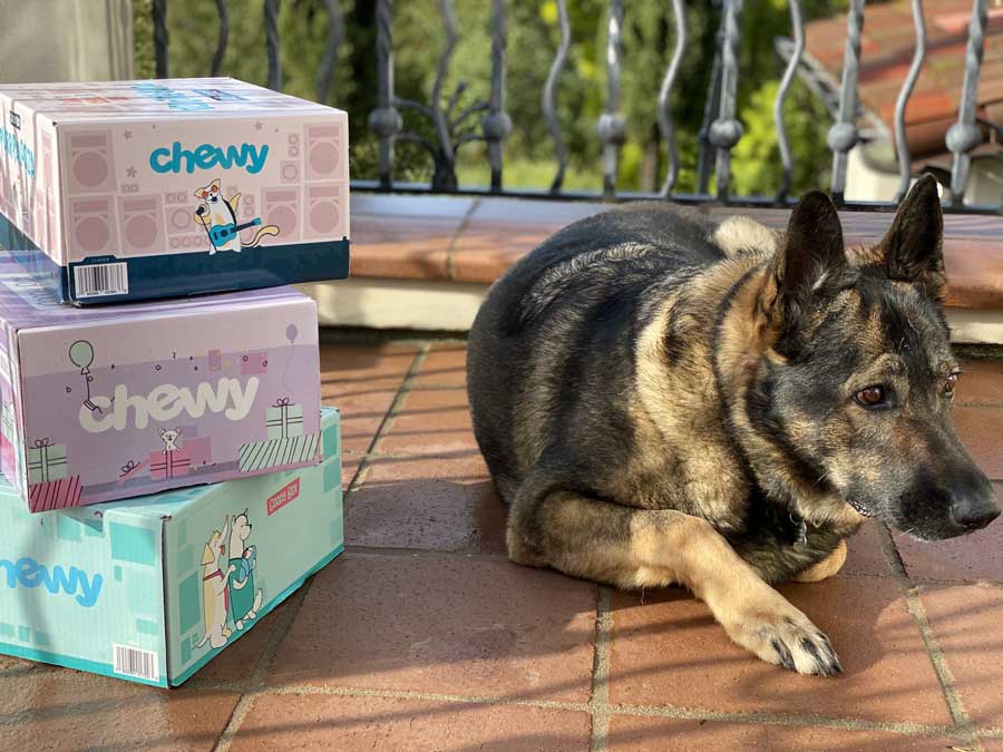 Chewy Boxes Offers